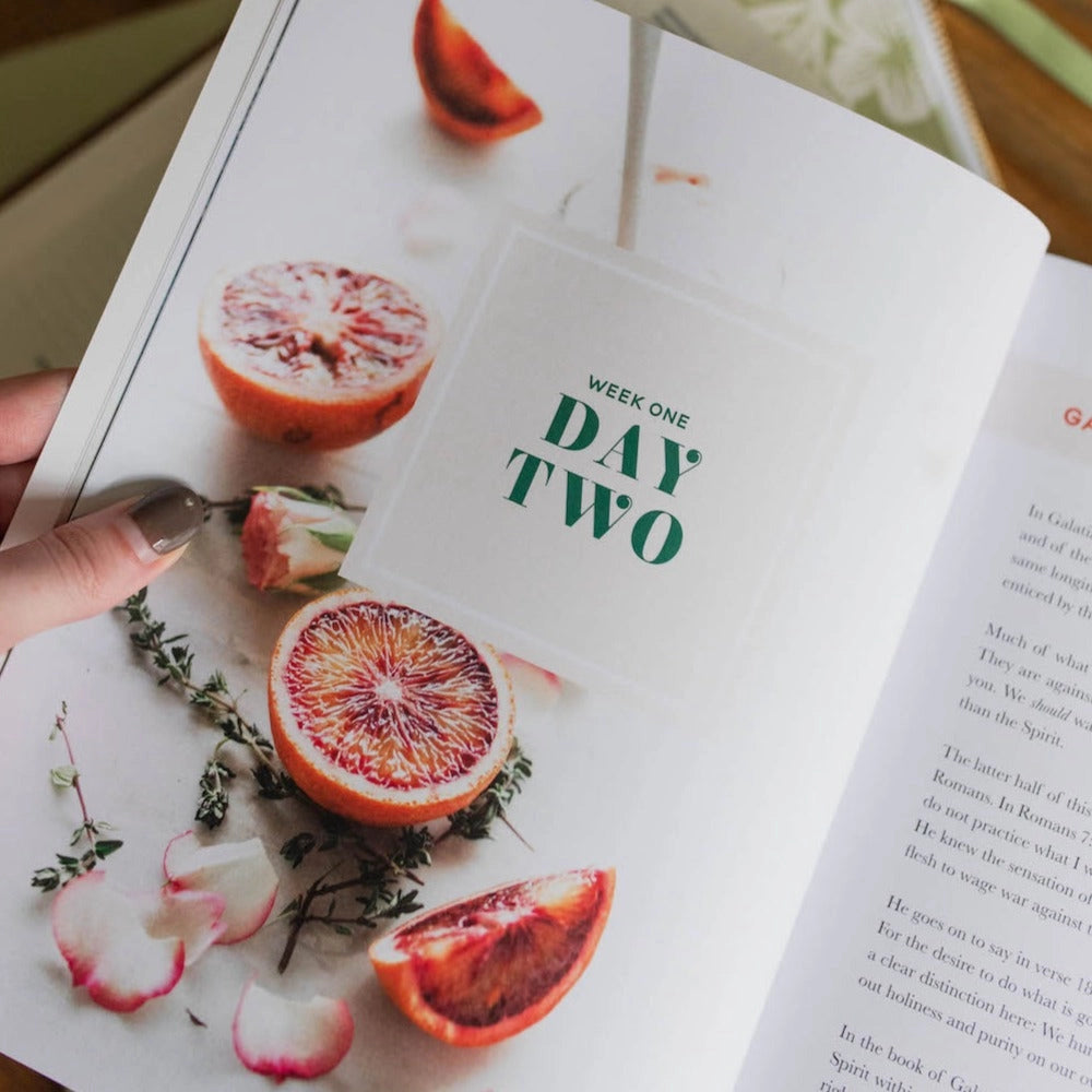 The Fruit of the Spirit | Bible Study