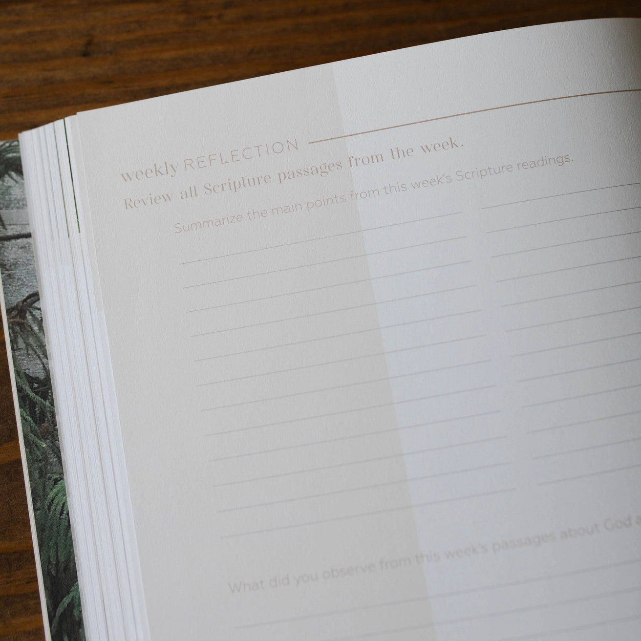 Pray | Cultivating A Passionate Practice of Prayer | Bible Study