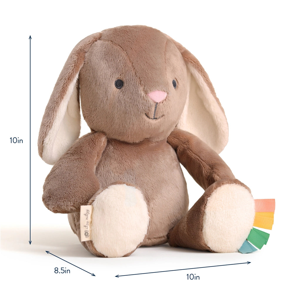 Itzy Ritzy Sweetie Snuggles Plush | Billie the Bunny