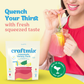 Lemonade Variety Pack Cocktail Mixers -12 Serving Multipack