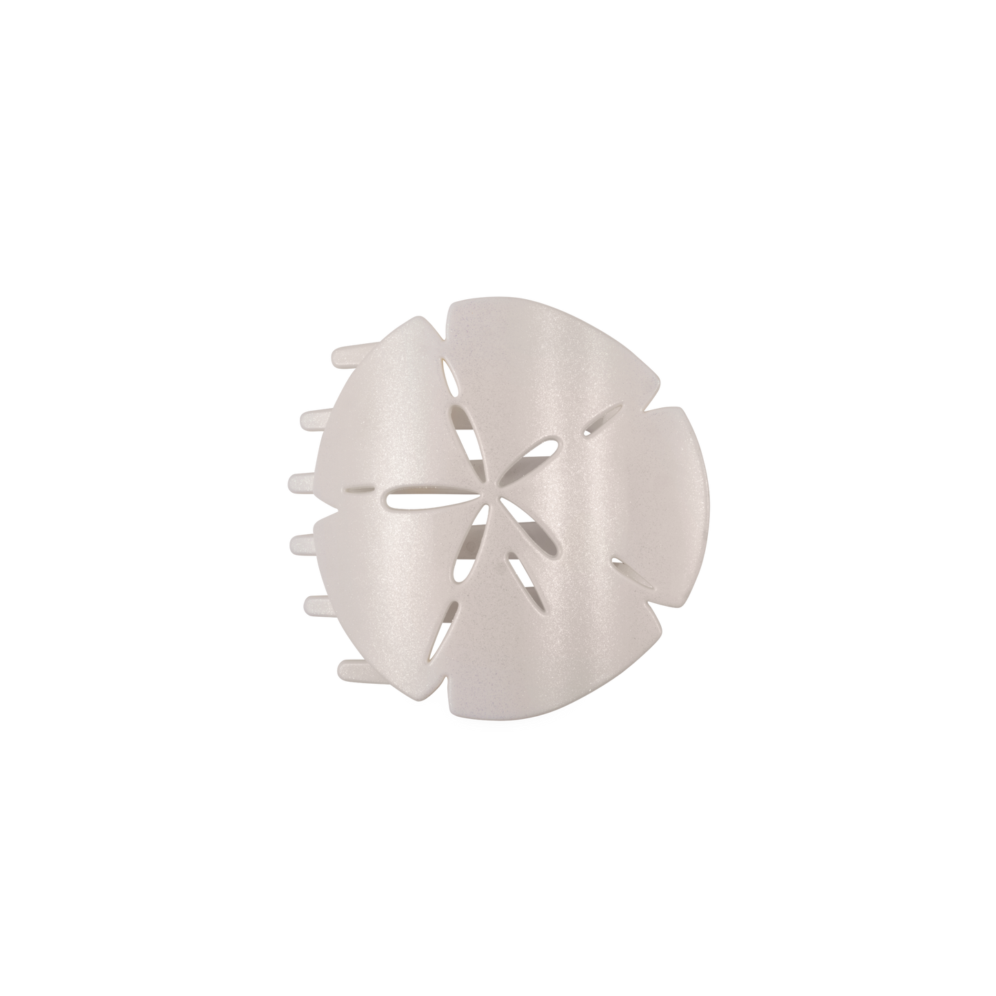 Sand Dollar Flat Clip | Medium | TELETIES