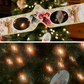 Holiday Specs | COLLECT ALL 12 | CHRISTMAS