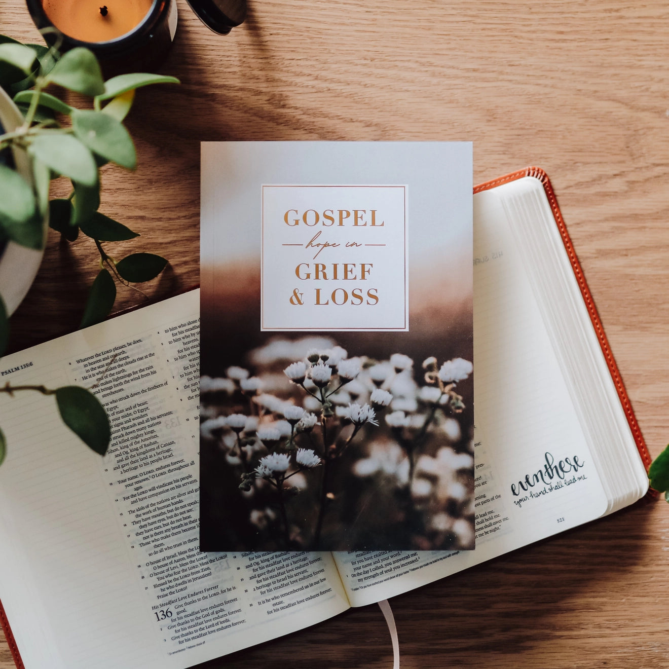 Gospel Hope in Grief and Loss Bible Study