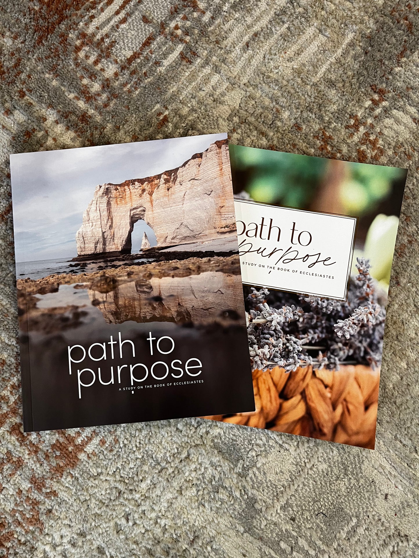 Path to Purpose Bible Study