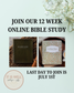 BIBLE STUDY GROUP | In Christ Alone | a study on the book of Romans