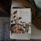 Pray | Cultivating A Passionate Practice of Prayer | Bible Study