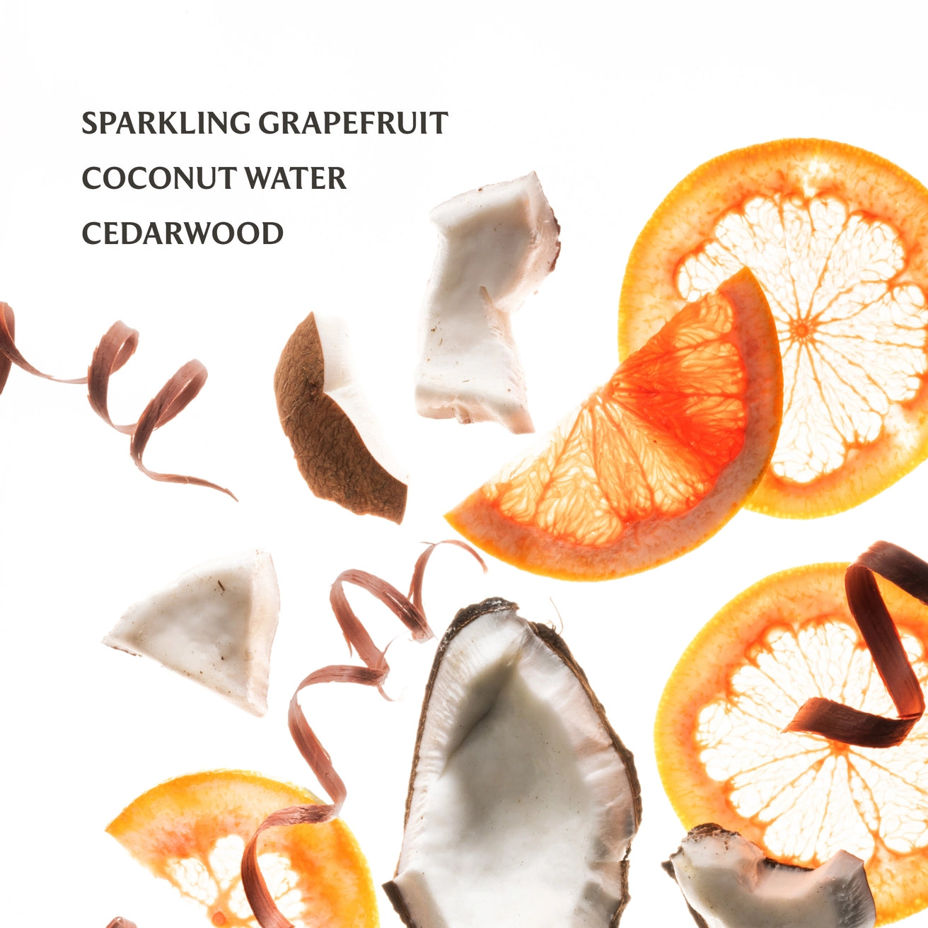 Beach Coco Touchland Power Mist Hydrating Hand Sanitizer