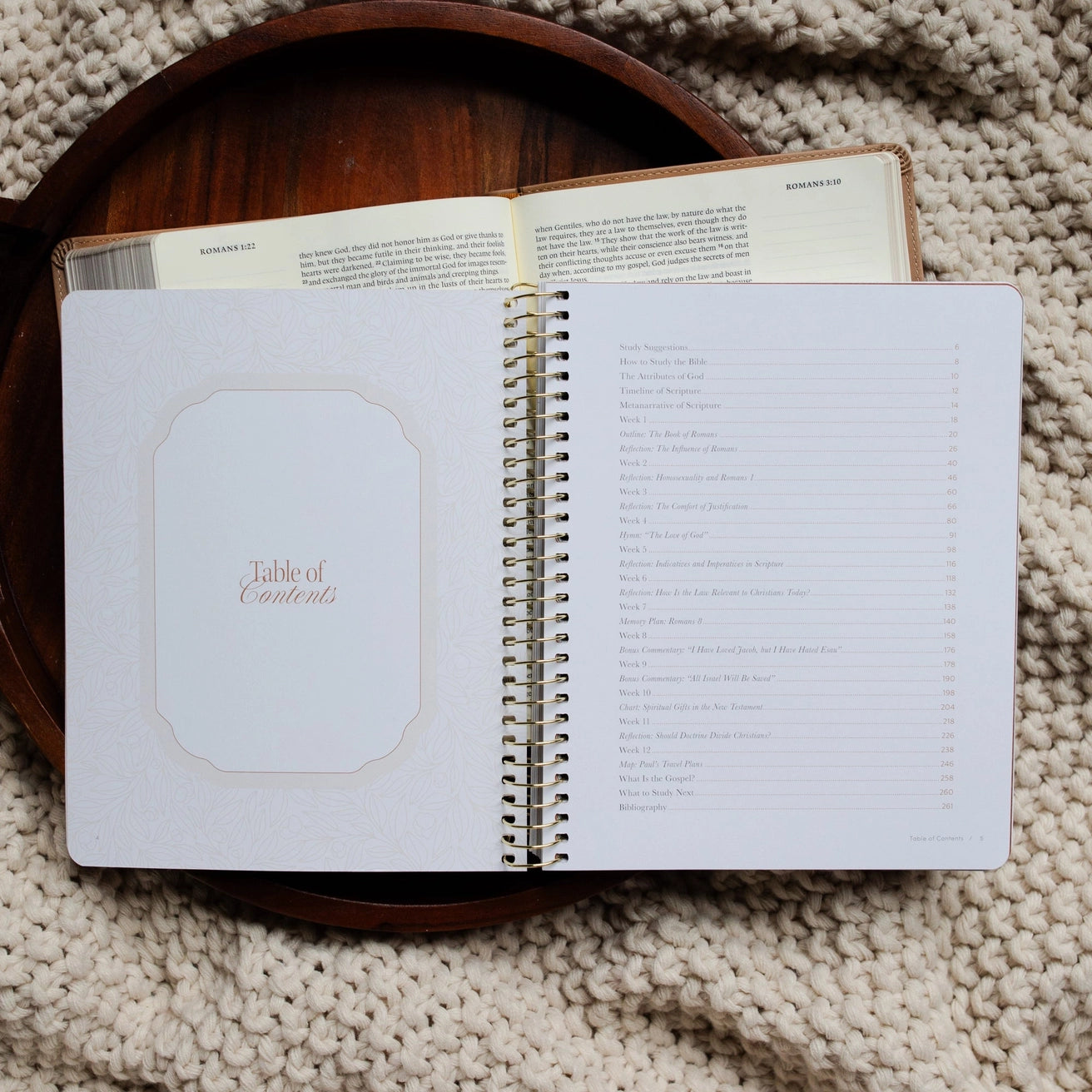 In Christ Alone Bible Study : Romans