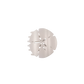 Sand Dollar Flat Clip | Small | TELETIES