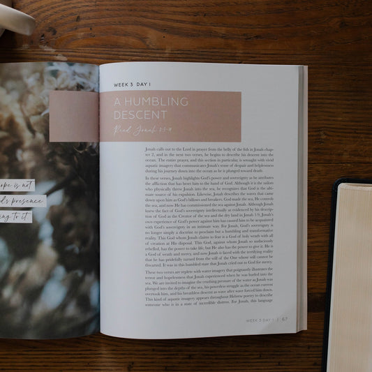 Mercy in the Storm | A Bible Study On the Book of Jonah