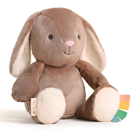 Itzy Ritzy Sweetie Snuggles Plush | Billie the Bunny