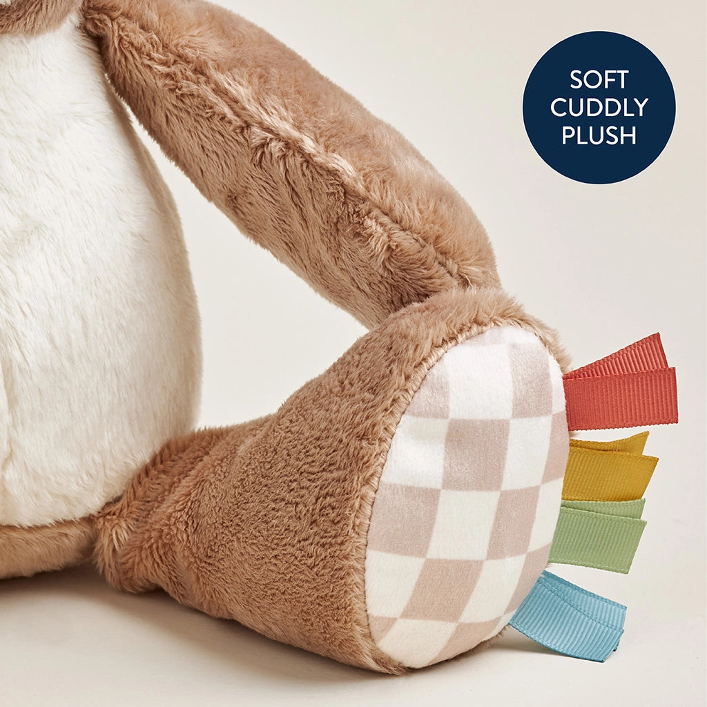 Itzy Ritzy Sweetie Snuggles Plush | Theo the Bear
