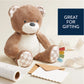 Itzy Ritzy Sweetie Snuggles Plush | Theo the Bear