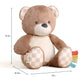 Itzy Ritzy Sweetie Snuggles Plush | Theo the Bear